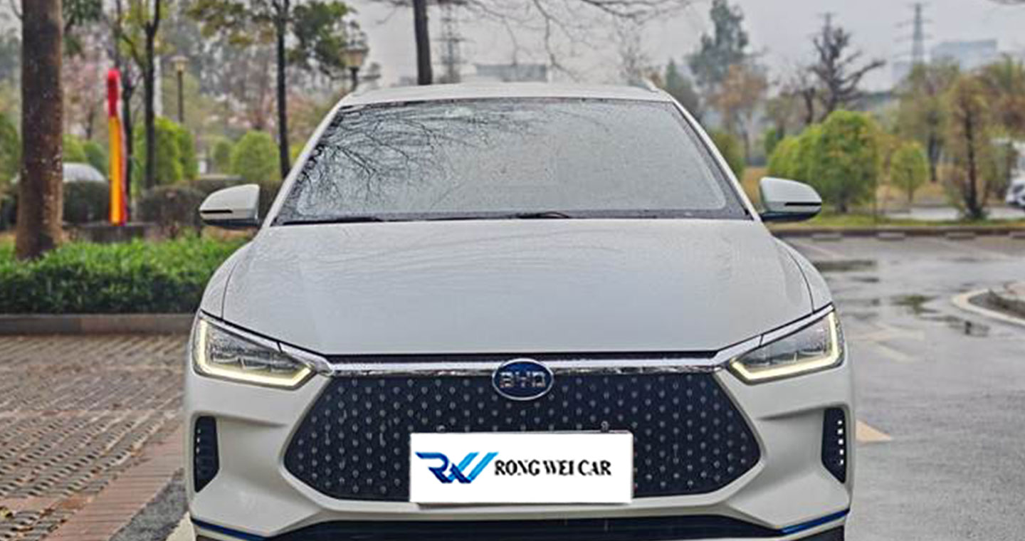 BYD e2 2020 Обновленная роскошная модель дальнего действия