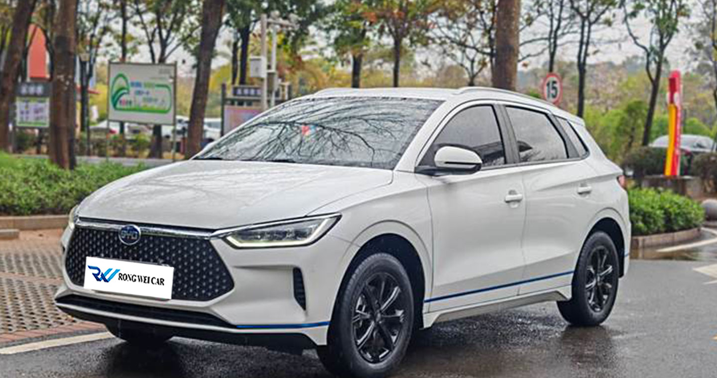 BYD e2 2020 Обновленная роскошная модель дальнего действия